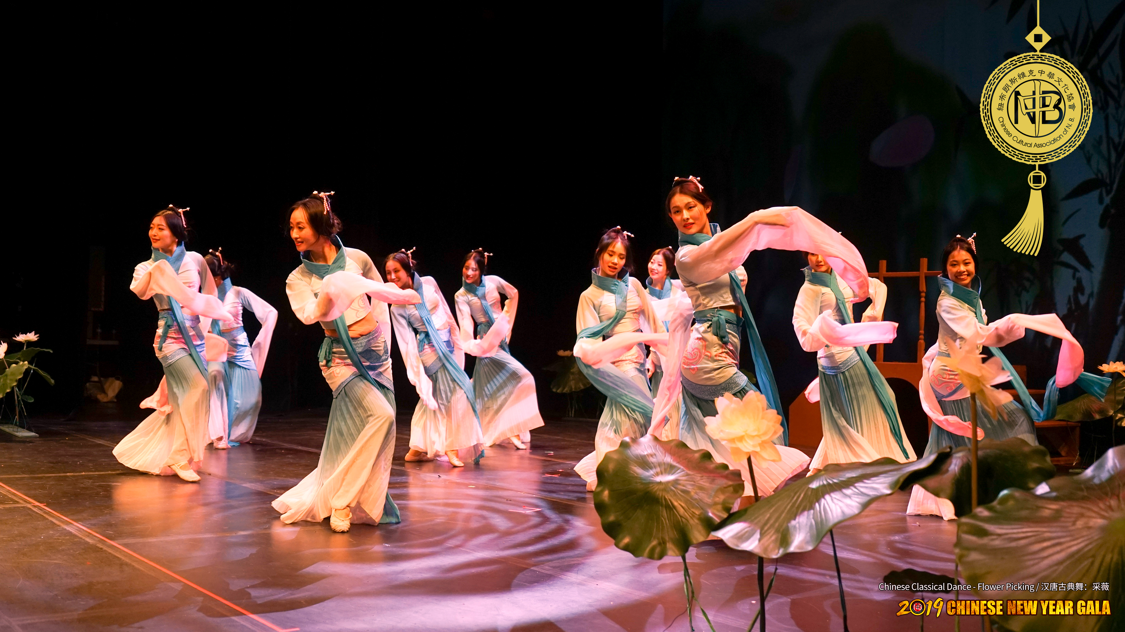 10 Chinese Classical Dance - Flower Picking 汉唐古典舞：采薇 -1.jpg