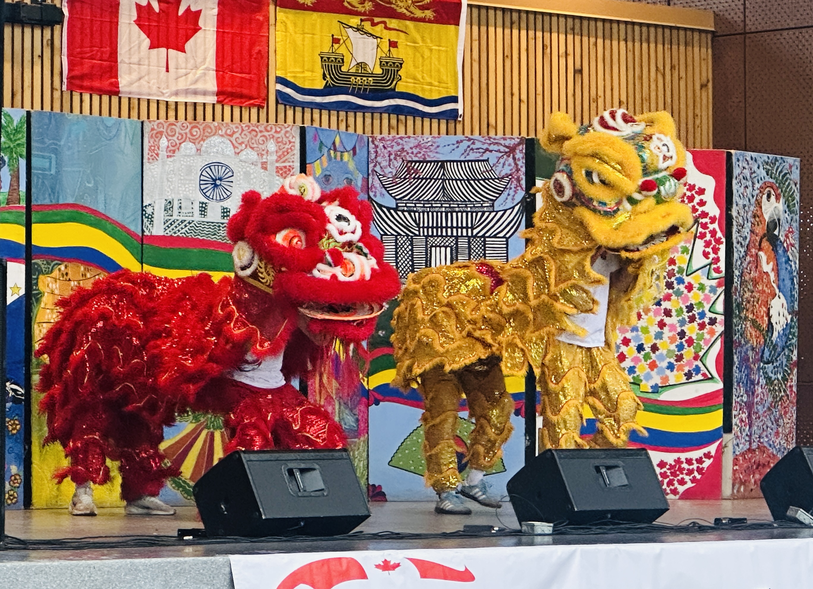 20250707-cultural-expression-festival-proud-of-our-culture-community-spirit-june-28-2025-005.jpg