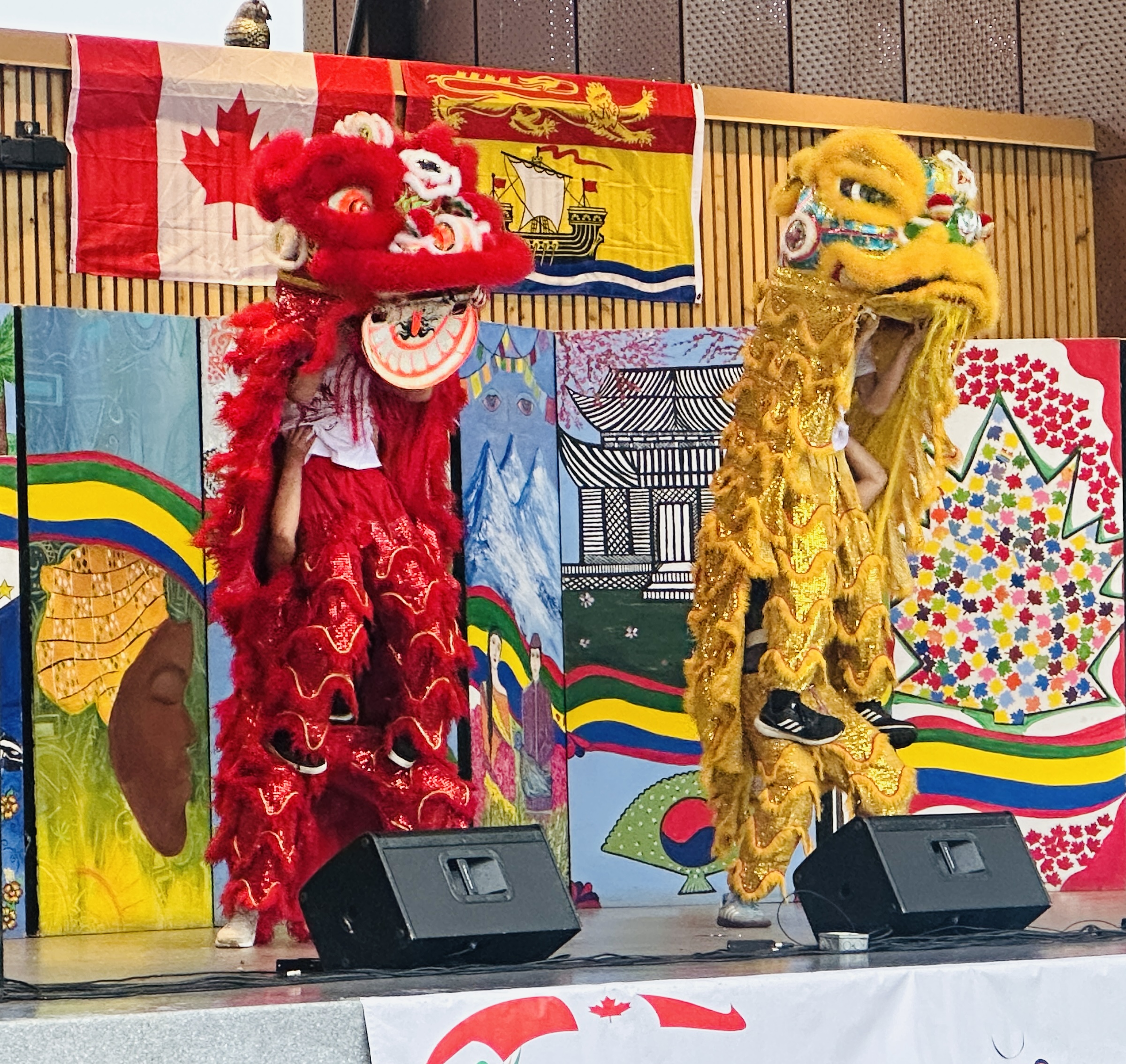 20250707-cultural-expression-festival-proud-of-our-culture-community-spirit-june-28-2025-023.jpg