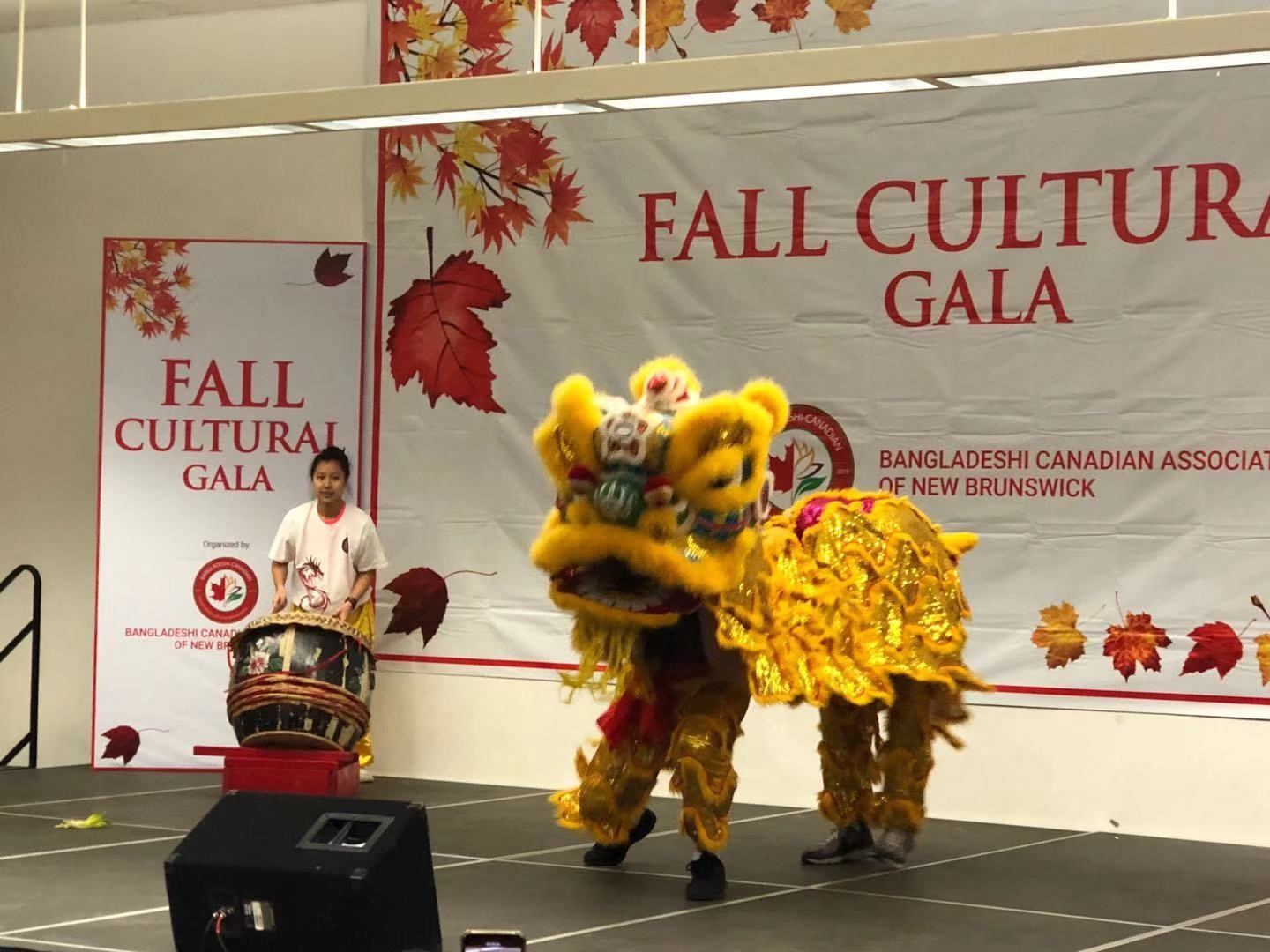 230915-get-ready-to-roar-with-excitement-at-our-chinese-lion-dance-class-2.jpg